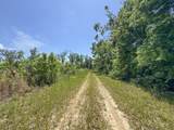 tbd Chinquapin Road - Lexington - Holmes County - Photo 69