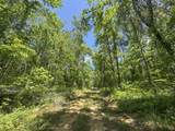 tbd Chinquapin Road - Lexington - Holmes County - Photo 72