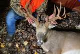 tbd Chinquapin Road - Lexington - Holmes County - Photo 8