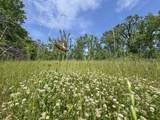 tbd Chinquapin Road - Lexington - Holmes County - Photo 80