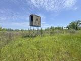 tbd Chinquapin Road - Lexington - Holmes County - Photo 97