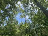 tbd Chinquapin Road - Lexington - Holmes County - Photo 99