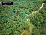 445 County Road 284 (Calhoun County) - Photo 2