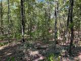 445 County Road 284 (Calhoun County) - Photo 51