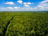 TBD County Road 260 - Photo 4