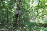 0 Ms 35 - Photo 29
