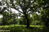 0 Ms 35 - Photo 34