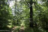 0 Ms 35 - Photo 47