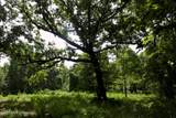 0 Ms 35 - Photo 56