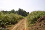 0 Ms 35 - Photo 65