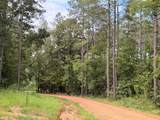 352 Zero Road - Photo 34