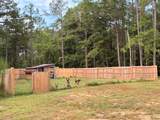 352 Zero Road - Photo 41