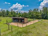 1852 County Road 41 - Photo 52