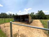 1852 County Road 41 - Photo 60