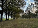 447 Cr 215 - Photo 12