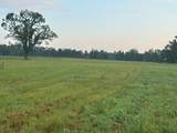 447 Cr 215 - Photo 20