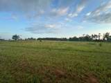 447 Cr 215 - Photo 22
