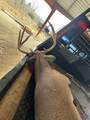 1037 Cr 300 - Photo 109