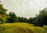 1037 Cr 300 - Photo 81