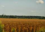 1037 Cr 300 - Photo 9