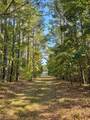 32 County Road 385 - Photo 41