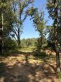153 Fox Trail Run - Photo 7