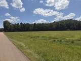 00 Country Road 428 - Photo 10
