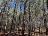 00 Country Road 428 - Photo 13