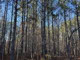 00 Country Road 428 - Photo 14
