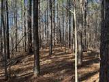 00 Country Road 428 - Photo 15