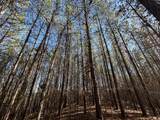 00 Country Road 428 - Photo 17