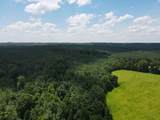 00 Country Road 428 - Photo 4