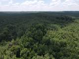 00 Country Road 428 - Photo 5