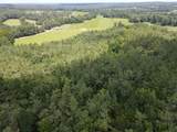00 Country Road 428 - Photo 6