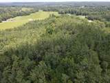 00 Country Road 428 - Photo 7