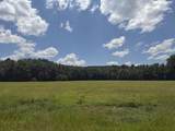 00 Country Road 428 - Photo 9