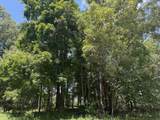 00 Country Road 428 - Photo 10
