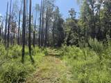 00 Country Road 428 - Photo 11