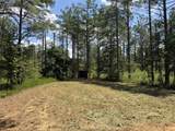 00 Country Road 428 - Photo 13