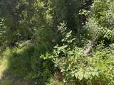 00 Country Road 428 - Photo 14
