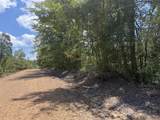 00 Country Road 428 - Photo 16