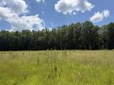 00 Country Road 428 - Photo 17