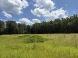 00 Country Road 428 - Photo 18