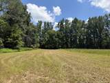 00 Country Road 428 - Photo 19