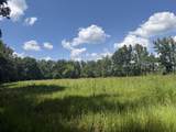 00 Country Road 428 - Photo 2