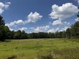 00 Country Road 428 - Photo 21