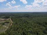 00 Country Road 428 - Photo 22