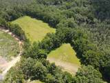00 Country Road 428 - Photo 23