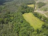 00 Country Road 428 - Photo 24