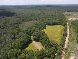 00 Country Road 428 - Photo 25